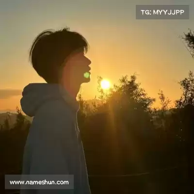 陶桐玫